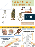 cirugia musculo esqueletica