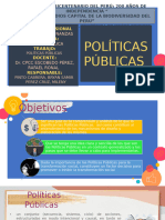 SESION N° 27 - LAS POLITICAS PUBLICAS