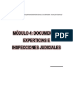 MÓDULO 4.  DOCUMENTOS, EXPERTICIAS E INSPECCIONES JUDICALES.