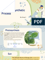 Photosynthesis - PPT - Group 1