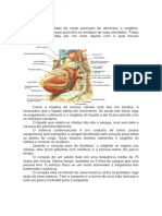 Texto de Aprofundamento de Fisiologia Cardiovascular