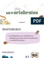 Invertebrates