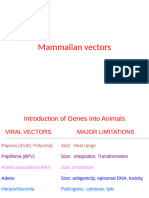 Mammalian Vectors Edted