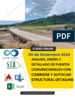 Brochure Dise ñ o Puente s