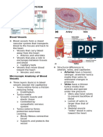 cardio pdf