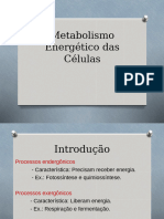 Metabolismo Energetico Das Celulas 2