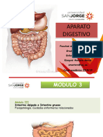 Módulo 3-Intestino delgado y grueso Parte 1