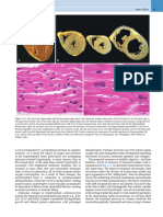 Robbins - Cotran Pathologic Basis of Disease, 10th Edition-536