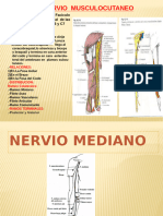 nerviomediano-111022124021-phpapp01