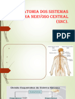 ANATOMIA DOS SISTEMAS