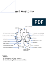 Heart Anatomy 22-23BB