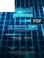 ESGI Brochure