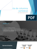 Anatomía de columna vertebral