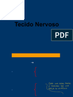 9 - Tecido Nervoso (1)