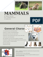 Mammals