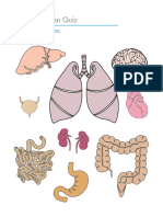 Organ Quiz_Organs