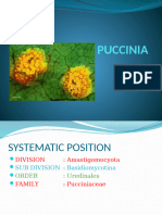 Puccini A