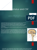 Hydrocephalus and CSF