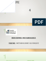 Metabolisme des glucides groupe4