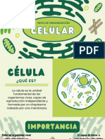 Presentación Biología Célula Ilustrativa Verde