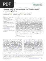 Computer Vision for Plant Pathology