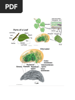 biology