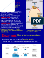 Enzymes