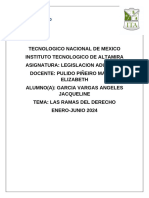 Las ramas del derecho-2