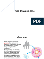 1 Genomes  DNA and gene