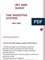 anatomy of digestive system lecture's slide