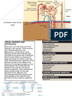 diuretics(1)