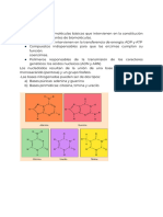 ACIDOS NUCLEICOS (1)