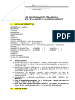 Formato de Plan de Acompañamiento Pedagógico sugerido. 2024