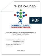 SISTEMA_DE_GESTIÓN_DEL_MEDIO_AMBIENTE