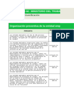 Autoevaluación FERPI DS 44