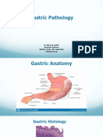 Gastric Pathology 2024