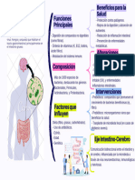 Cuadro sinóptico microbiota intestinal 