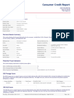 XDS Credit Report