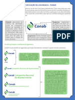 Guia-de-Aplicacao-da-Logomarca-Conab_1