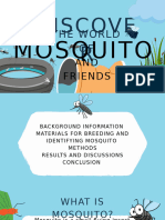 MOSQUITO Presentation