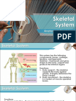 04 Skeletal System