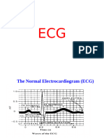 ECG,CO