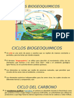 CICLOS BIOGEOQUIMICOS 1° AÑO TALLER DE ECOLOGÍA MC