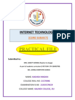 it practical file(21570006)