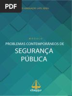 Apostila_SEGURANCA_PUBLICA