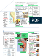 Origen y Evolucion de Los Incas