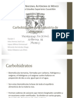 Carbohidratos en La Industria de Alimentos