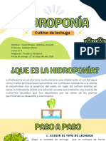 Trabajo de Hidroponía (Daniel B)