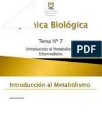 Tema N° 7. Introducción al Metabolismo Intermediario