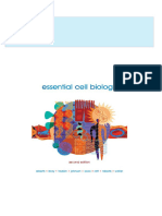 Instant Download Essential Cell Biology 2nd Edition Bruce Alberts PDF All Chapters